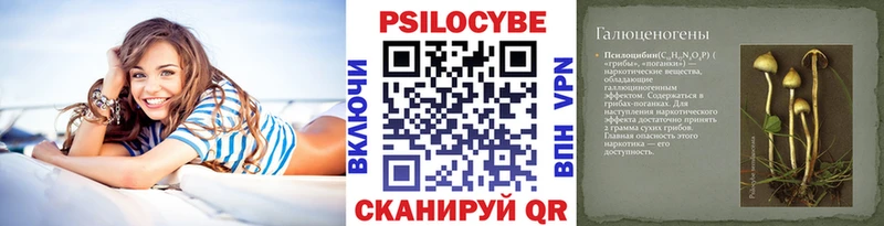 Псилоцибиновые грибы мицелий  продажа наркотиков  Краснозаводск 